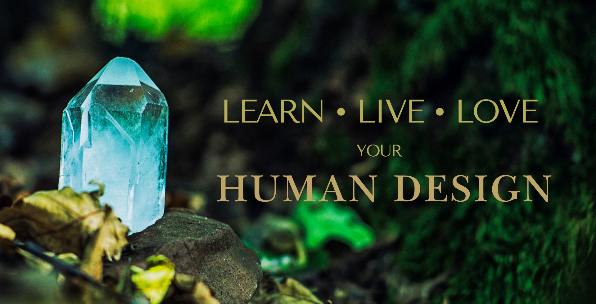 Reveal Your Potential: Transform Your Life With Human Design