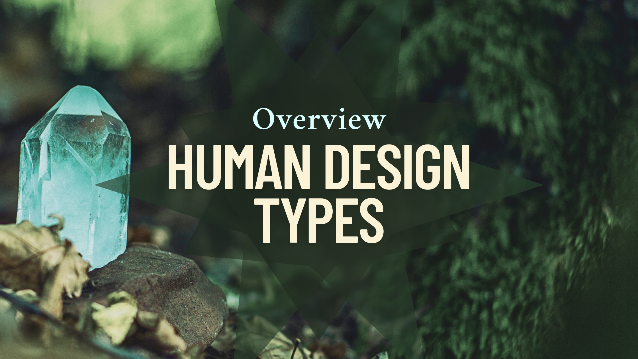 An Overview of the Human Design Types – A Beginner’s Guide